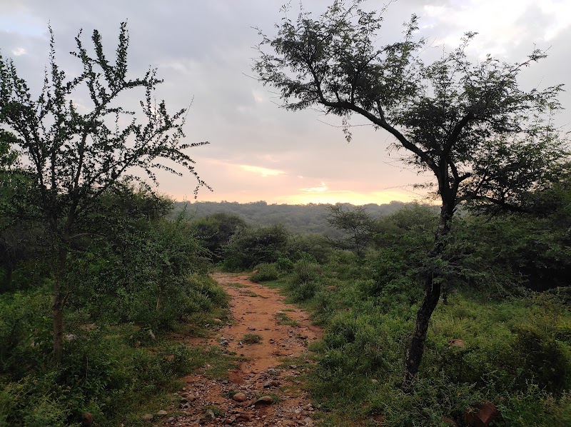 Bhondsi Nature Park - Bhondsi Nature Park 926V+XPP, Bharat Yatra Kendra Rd, Haryana 122101, India