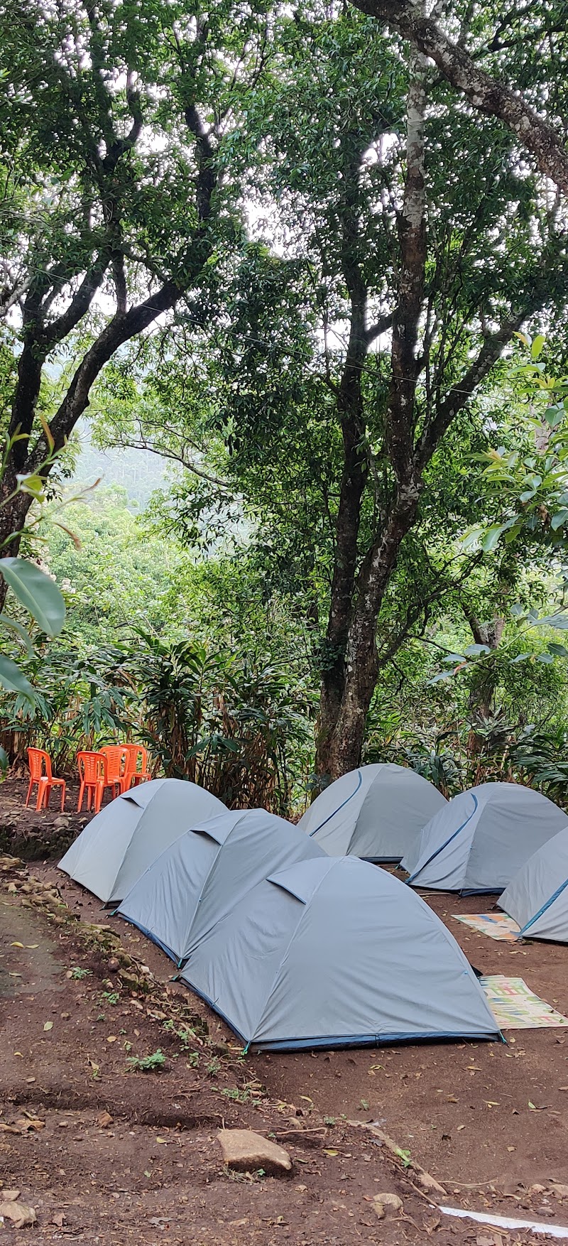 Tent Stay in Munnar - Trip to Munnar - Tent Stay in Munnar - Trip to Munnar, Gundumalai Road, Nullatanni, Suryanelli, Munnar, Kerala 685612, India