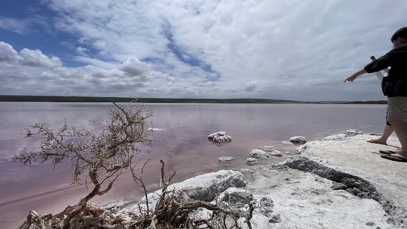 Hutt Lagoon - Hutt Lagoon, Yallabatharra WA 6535, Australia