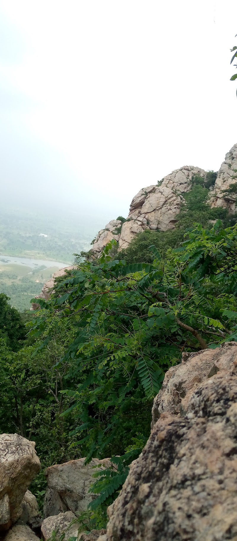 Dalha Pahad Peak Point - Dalha Pahad Peak Point, 3CX2+F58, Kosmanda, Chhattisgarh 495552, India