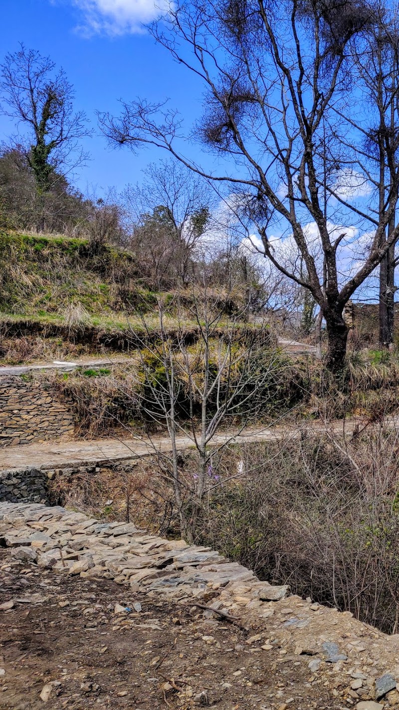 Tagore Top - Tagore Top, CH73+F95, Gagar, Bhowali Range, Uttarakhand 263137, India