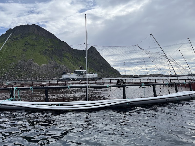Lofoten Seafood Center - Lofoten Seafood Center, Mortsundveien 379, 8370 Leknes, Norway