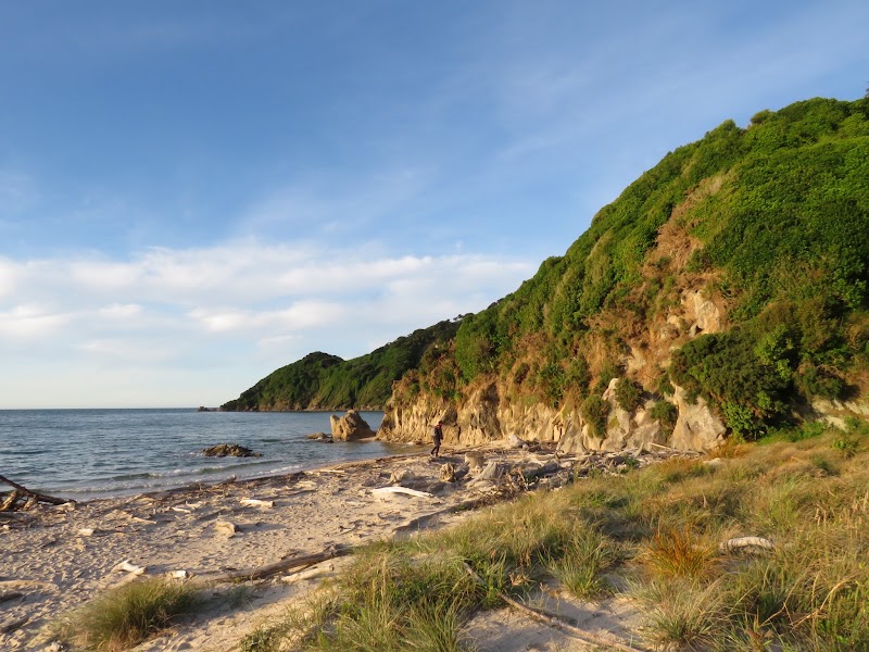 Wainui Bay - Wainui Bay Wainui Bay, Tasman Region, New Zealand
