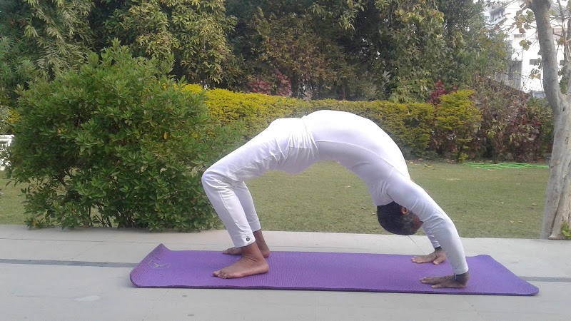Amrit yoga and holistic centre - Amrit yoga and holistic centre Aghor Foundation, Aghor Foundation, Mahesh Nagar Colony, Samne Ghat, Lanka, Varanasi, Uttar Pradesh 221005, India