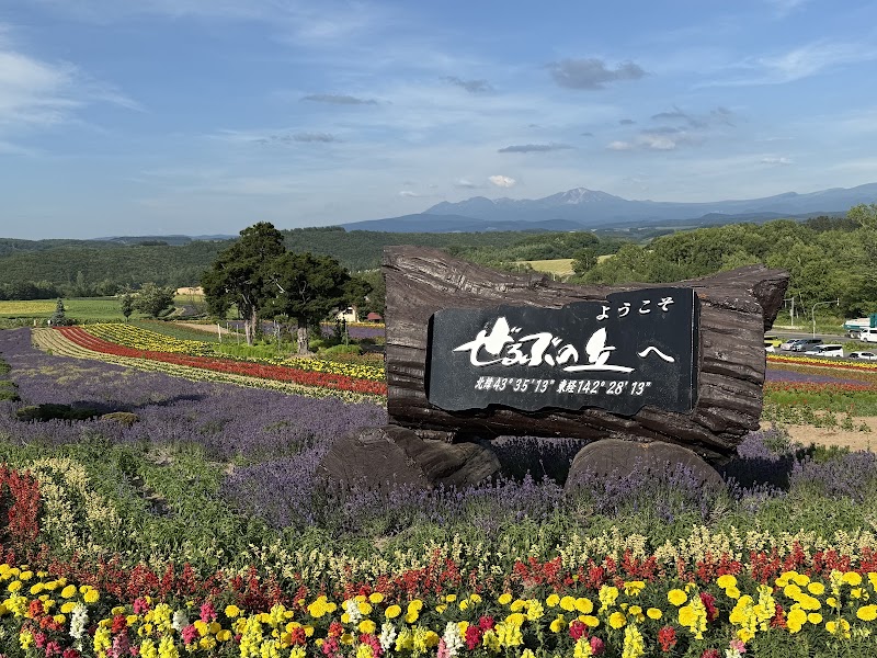 Zerubu Hill - Zerubu Hill Japan, 〒071-0200 北海道上川郡美瑛町大三