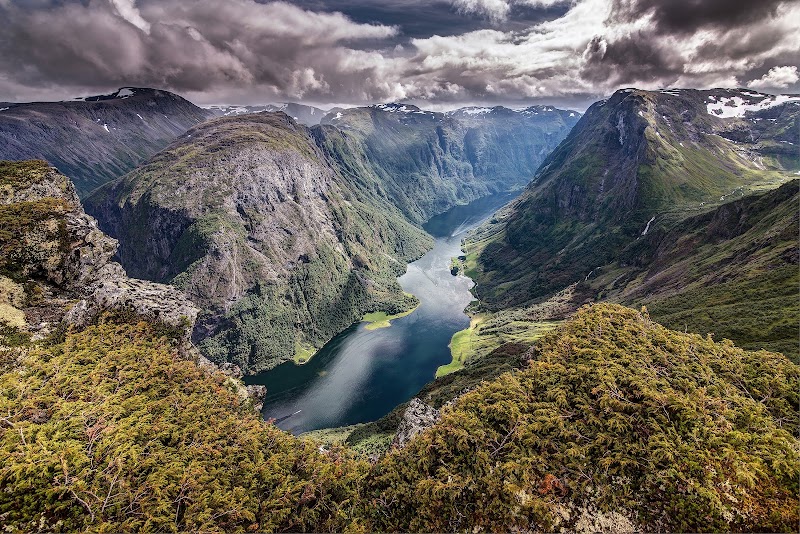 Sognefjord