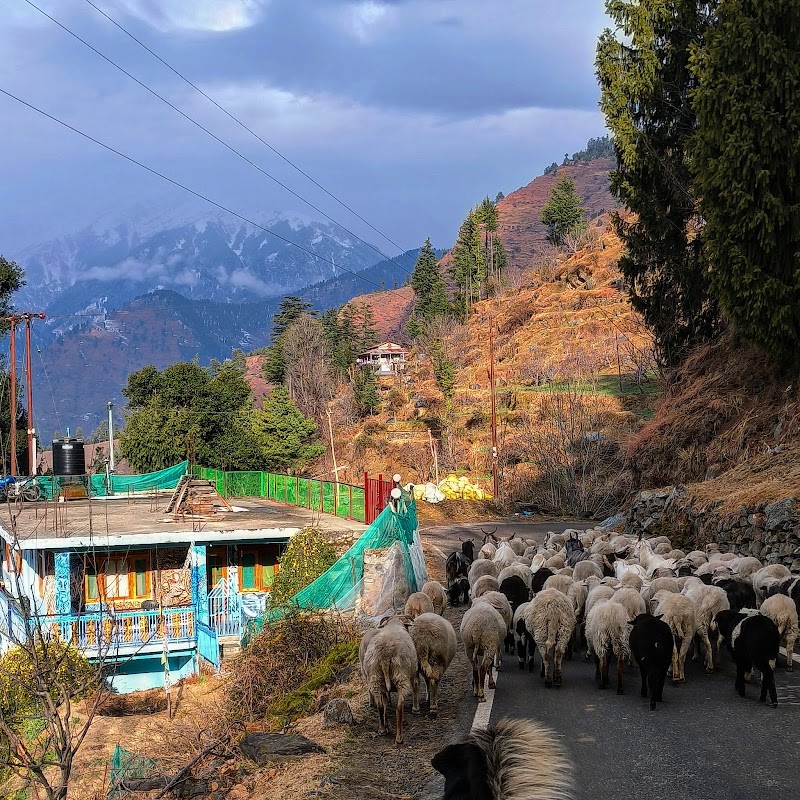 Hallan Valley 1 Museum - Hallan Valley 1 Museum Hallan-i, Himachal Pradesh 175130, India