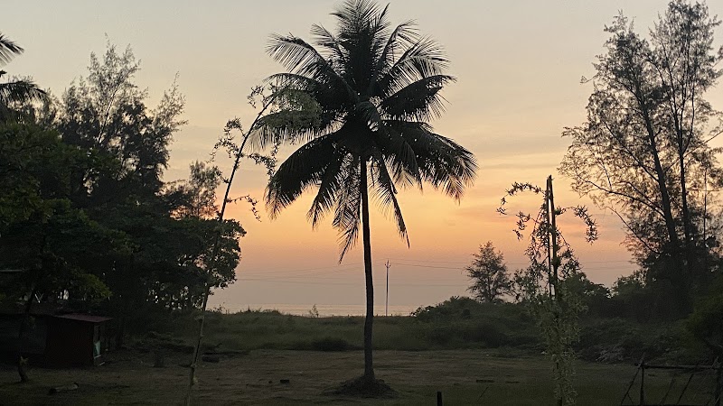 WADI Restaurant - WADI Restaurant, Q4J7+7HW, Murud, Maharashtra 415713, India