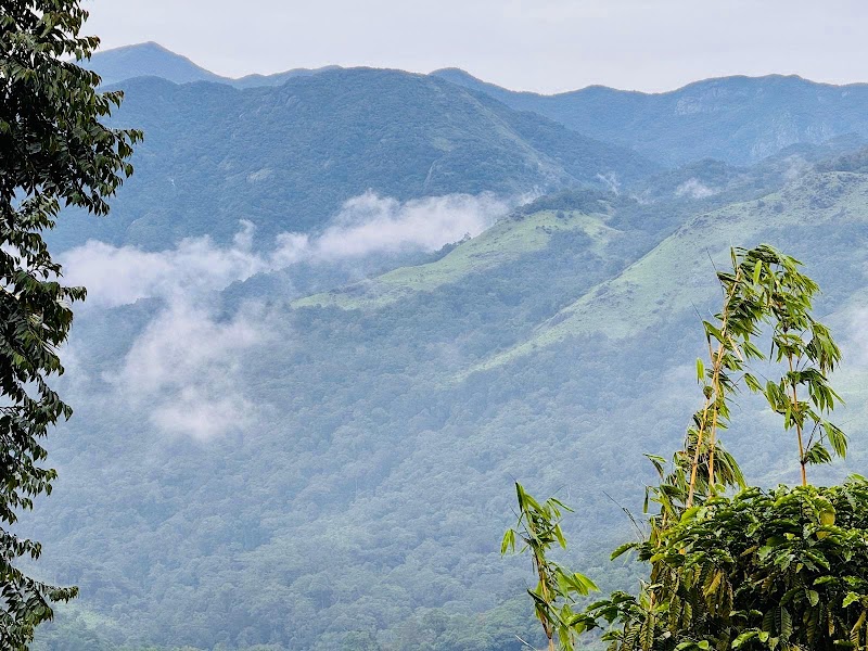 Wayanad Tripadvisor LLP - Wayanad Tripadvisor LLP, Door no 684 Thanhilode, po, Meppadi, Vellarimala, Keralam 673577, India