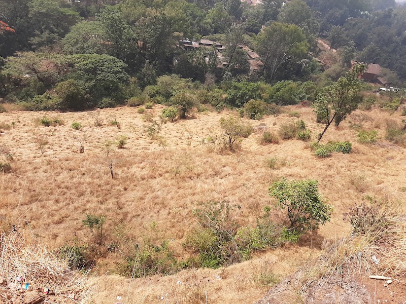 Mahabaleshwar Bungalows & Cottages - Mahabaleshwar Bungalows & Cottages, Plot No. 16/B, Khingar Road, Besides Blue Country Resort, MSEB Office, opposite Panchgani, Shahunagar, Khingar, Maharashtra 412805, India