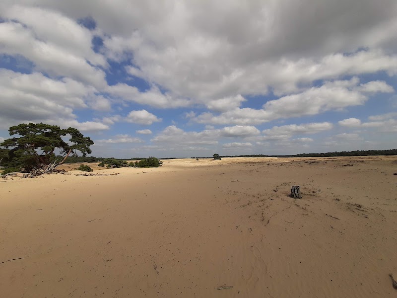Nationaal Park De Hoge Veluwe - Nationaal Park De Hoge Veluwe, Netherlands