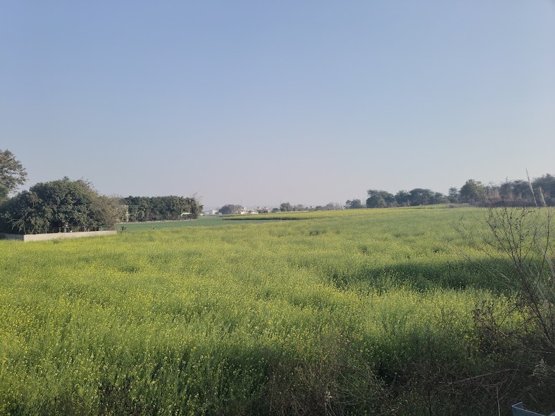 Aravali Hills in Gurgaon - Aravali Hills in Gurgaon Aravali Hills in Gurgaon Residential Projects- Office no. 18 plot a-5 Vipul Agora, Mehrauli-Gurgaon Rd, Gurugram, Haryana 122101, India