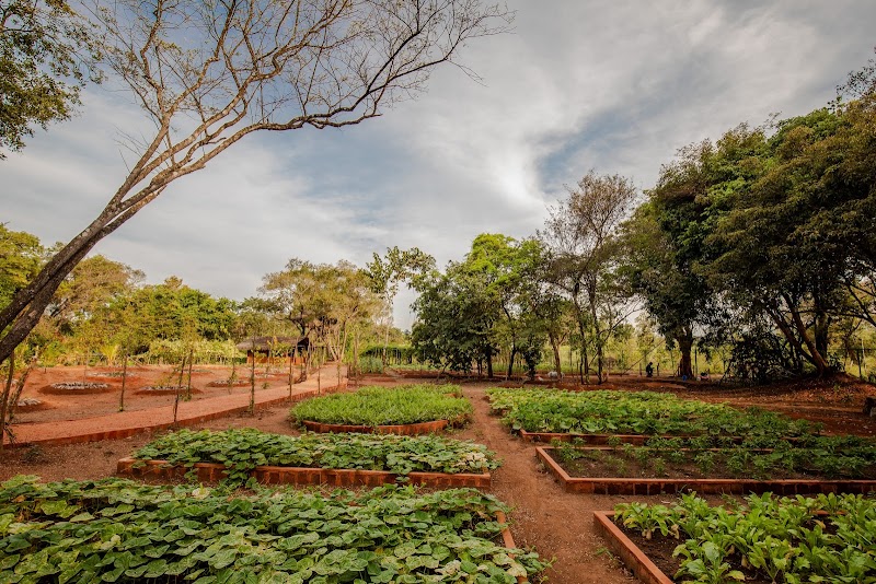 Sigiriya Forest Edge By Marino Leisure - Sigiriya Forest Edge By Marino Leisure Idigaswewa, Sigiriya 21120, Sri Lanka