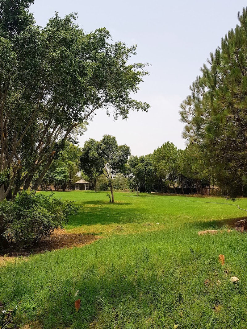 Orchard at Sarai
