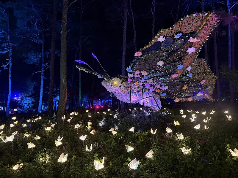 Delight Park Dalat - Delight Park Dalat, 113 Hồ Xuân Hương, Ward 9, Lâm Viên - Đà Lạt, Lâm Đồng, Vietnam