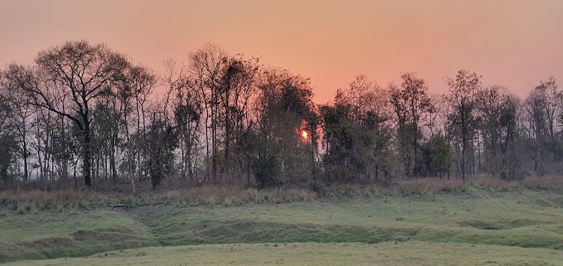 Madai - Madai Madai, Madhya Pradesh 461771, India