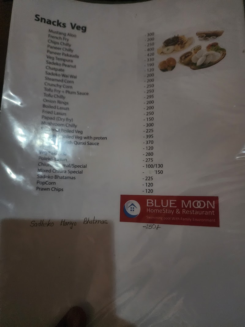 Bluemoon homestay and Restaurant - Bluemoon homestay and Restaurant 1 Sallaghari, Bhaktapur 44800, Nepal