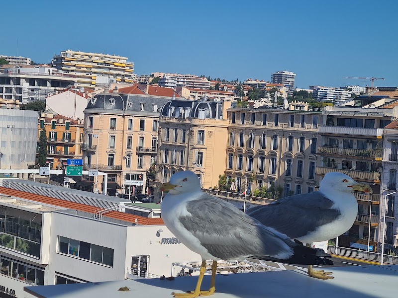 Cannes - Cannes Cannes, France