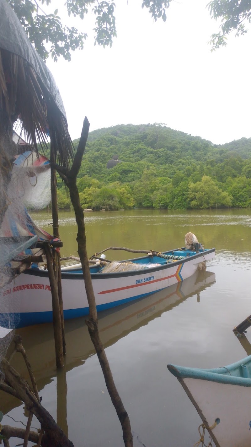 PALOLEM BEACH MANGROVE FOREST - PALOLEM BEACH MANGROVE FOREST, 2289+82, Canacona, Goa, India