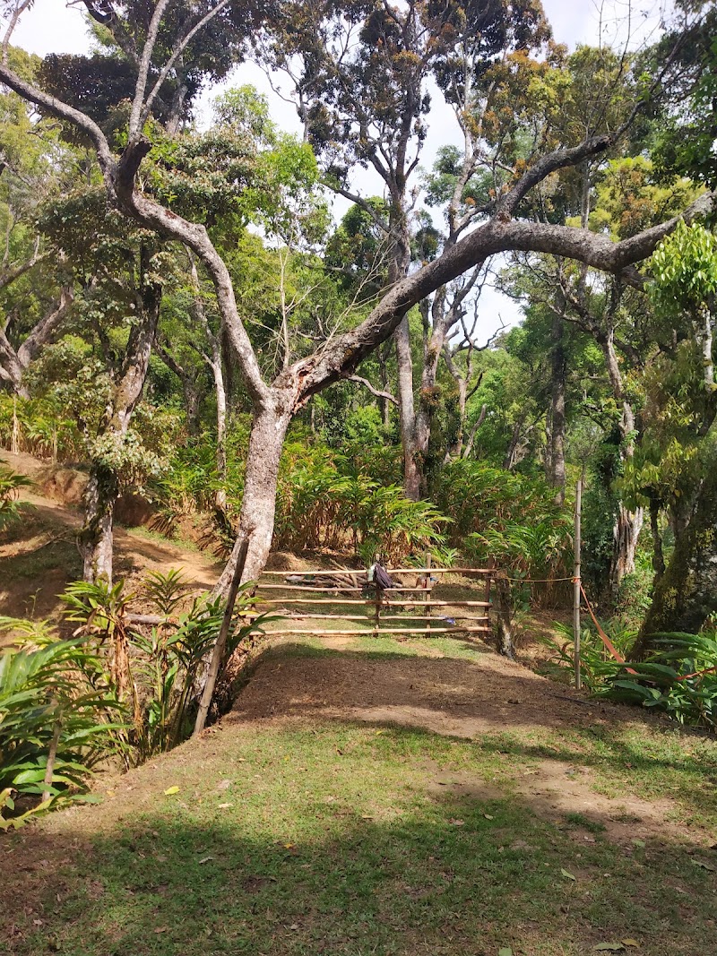 Kalypso Camp - Kalypso Camp, Shanmughavilasam Estate Rd, Suryanelli, Kerala 685618, India