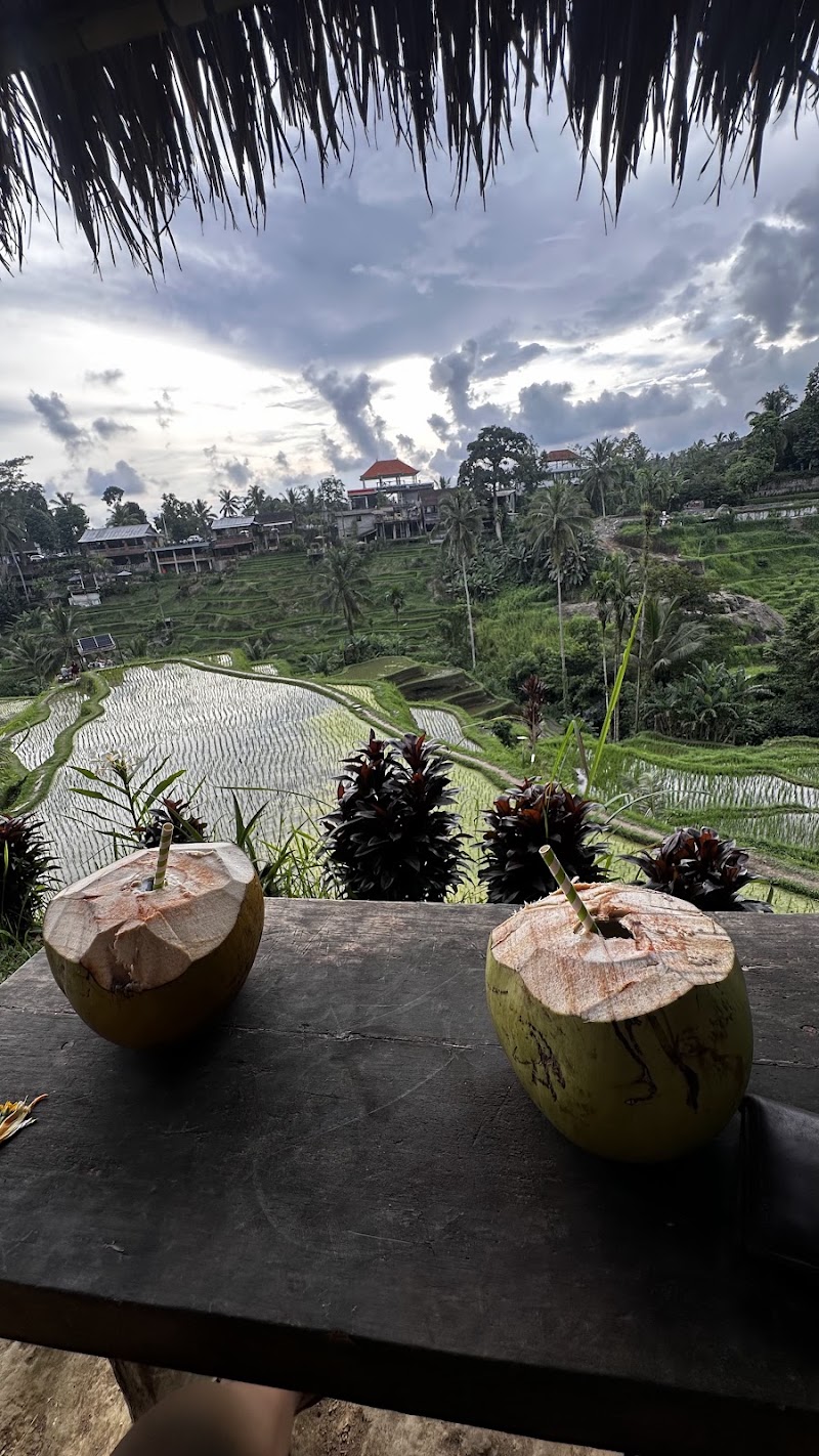 Mupu Rice Terrace - Mupu Rice Terrace Tegallalang, Gianyar Regency, Bali 80561, Indonesia