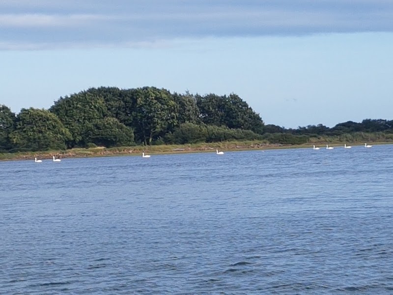 River Exe - River Exe, United Kingdom