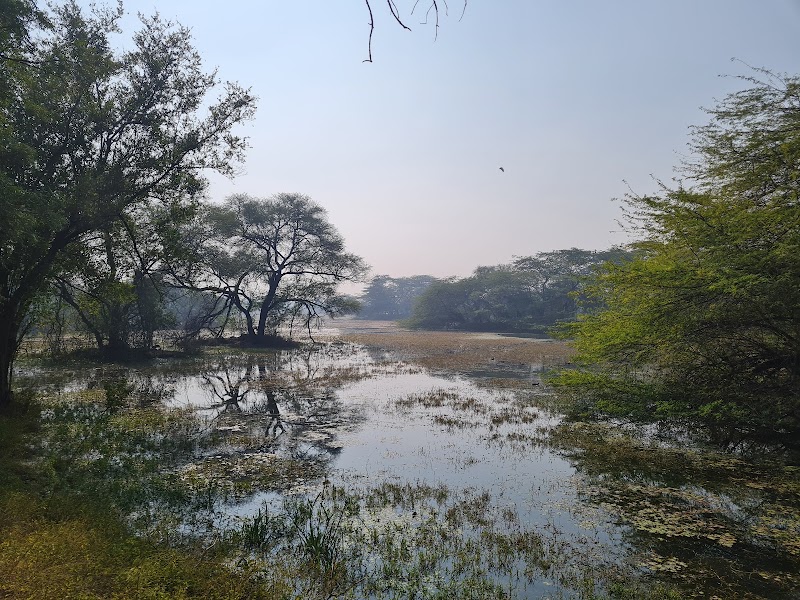 Sultanpur National Park - Sultanpur National Park National Park, Gurgaon - Farukhnagar Rd, Sultanpur, Gurugram, Haryana 122006, India