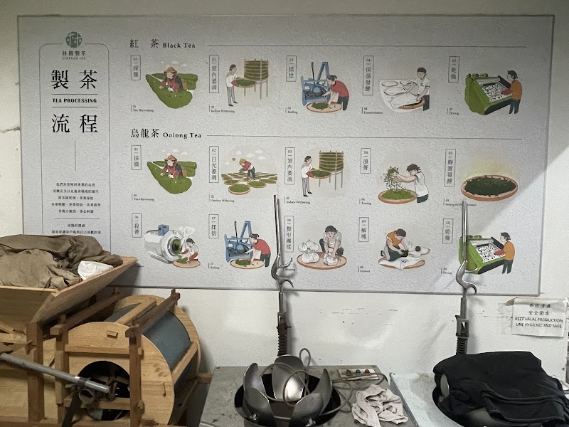 林園製茶 Lin Yuan Tea Factory - 林園製茶 Lin Yuan Tea Factory 60497, Taiwan, Chiayi County, Zhuqi Township, 中和村石棹19-57號