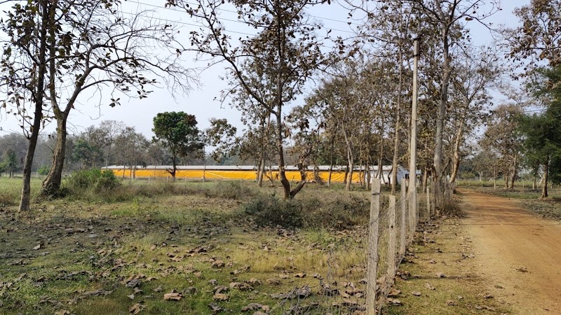 Uttam animal husbandry - Uttam animal husbandry, Dandesara, Chhattisgarh 491001, India