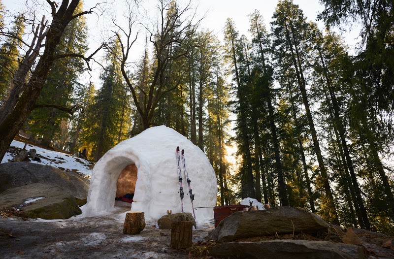 Club Mahindra White Meadows - Club Mahindra White Meadows Naggar Rd, Prini, Manali, Himachal Pradesh 175143, India