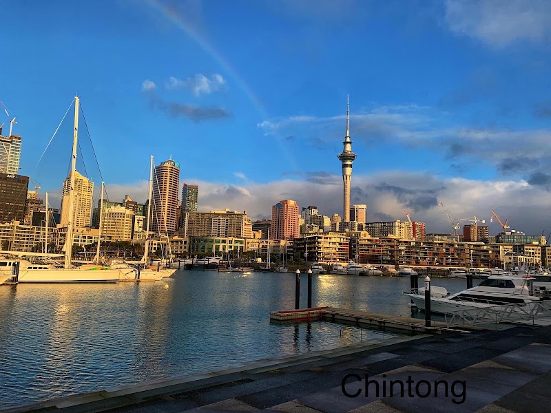 Auckland - Auckland Auckland, New Zealand