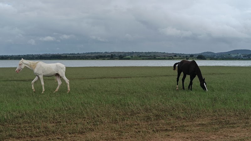 Kabini Backwaters - Kabini Backwaters X876+W9, Sogalli, Karnataka 571116, India
