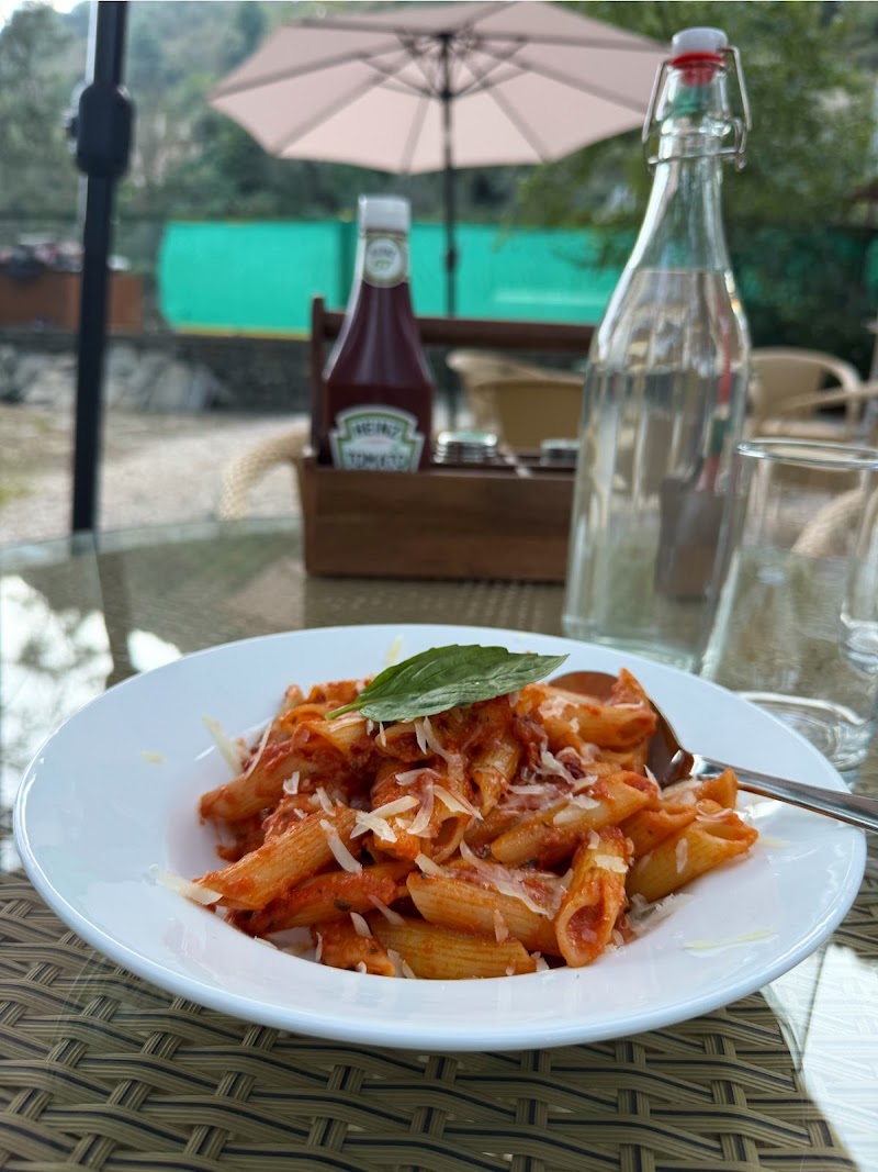 Cafe Deodar by Hilly Basket - Cafe Deodar by Hilly Basket, NH 3, Nature Park, Babeli, Biasar, Himachal Pradesh 175138, India
