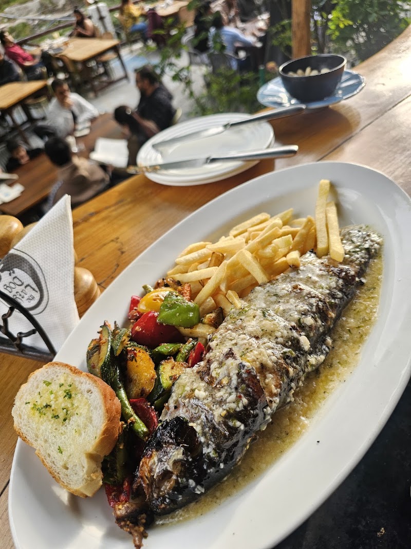 𝗧𝗵𝗲 𝗟𝗮𝘇𝘆 𝗗𝗼𝗴 | Best Restaurant in Manali | Bar & Grill on Manu Temple Road - 𝗧𝗵𝗲 𝗟𝗮𝘇𝘆 𝗗𝗼𝗴 | Best Restaurant in Manali | Bar & Grill on Manu Temple Road Manu Temple Rd, Old Manali, Manali, Himachal Pradesh 175131, India
