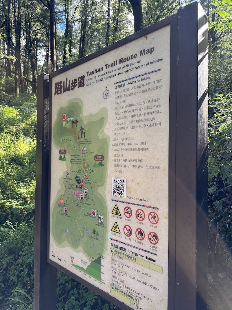 Tashan Trail - Tashan Trail 605 Zhongzheng Village, Alishan Township, Chiayi County, Taiwan 605