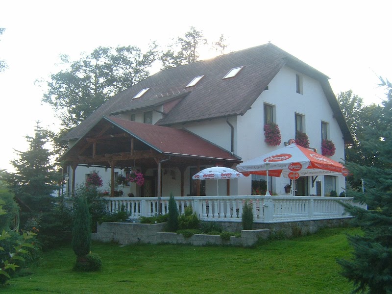restaurace-pension na Točně - restaurace-pension na Točně, u, Janov 4, 405 02 Janov, Czechia
