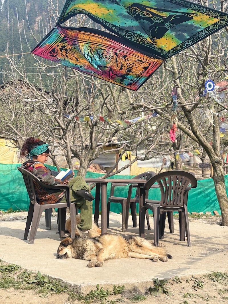 Shalom Cafe and Guesthouse