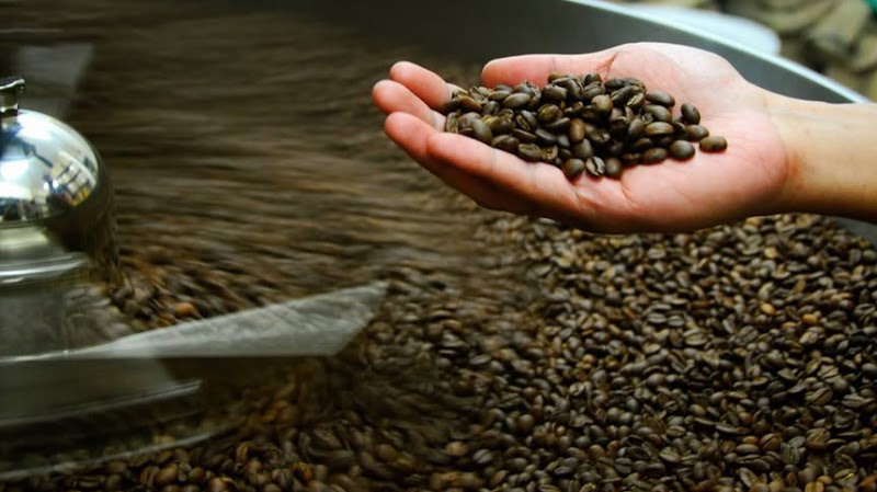Blue Tokai Coffee Roasters | Chhatarpur - Blue Tokai Coffee Roasters | Chhatarpur, Ground Floor, 388, Street No. 24, inside Mulmul Store, D-Block, Pocket D, Dr Ambedkar Colony, Chhatarpur, New Delhi, Delhi 110074, India