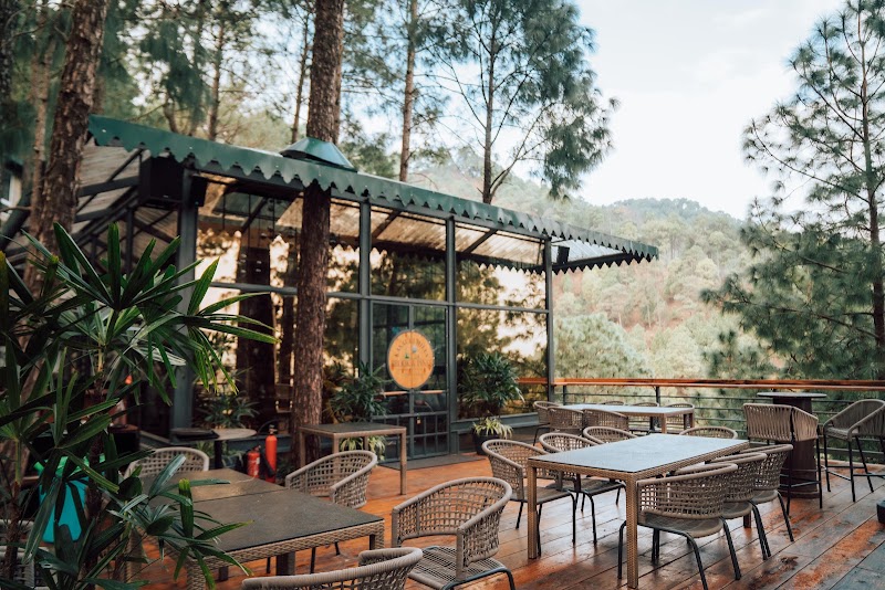 Kasauli Hills Resort - Best Luxury Resort and Hotel - Kasauli Hills Resort - Best Luxury Resort and Hotel Kasauli, Garkhal Kanda Road Kharog, Distt, Tehsil, Kasauli, Himachal Pradesh 173201, India