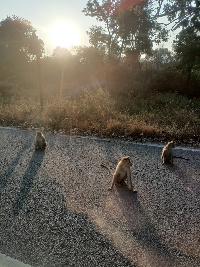 Gonikoppa - Gonikoppa, Karnataka, India