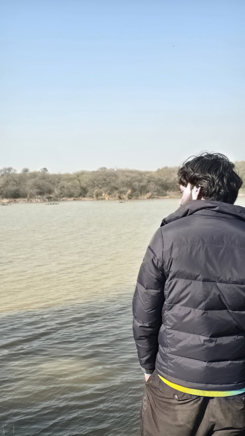 Bird watching area - Bird watching area 6084, Modern Housing Complex, Sector 13, Chandigarh, 160001, India