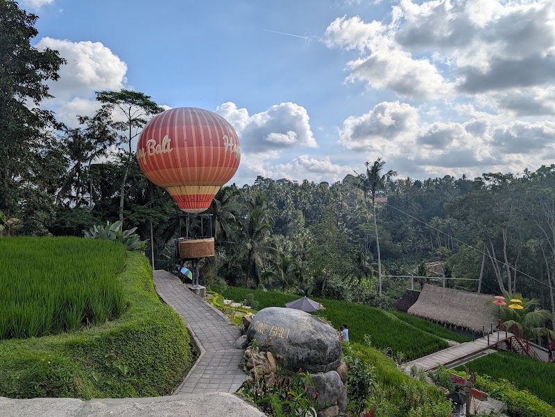 HAPPY SWING BALI - HAPPY SWING BALI Tegallalang, Gianyar Regency, Bali 80561, Indonesia