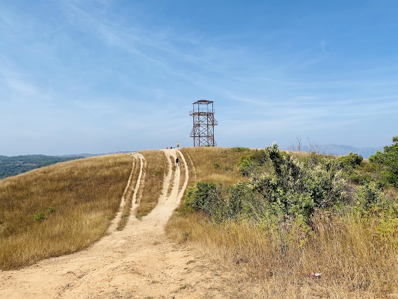 Hosahalli Gudda Shooting point ಹೊಸಳ್ಳಿ ಗುಡ್ಡ - Hosahalli Gudda Shooting point ಹೊಸಳ್ಳಿ ಗುಡ್ಡ Unnamed Road, Jedigadde, Hosahalli, Karnataka 573123, India