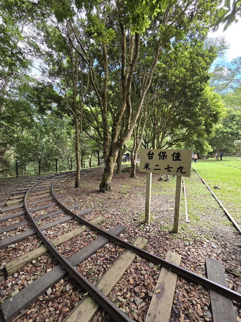 Baxianshan Forest Recreation Area - Baxianshan Forest Recreation Area, Heping District, Taichung City, Taiwan 424