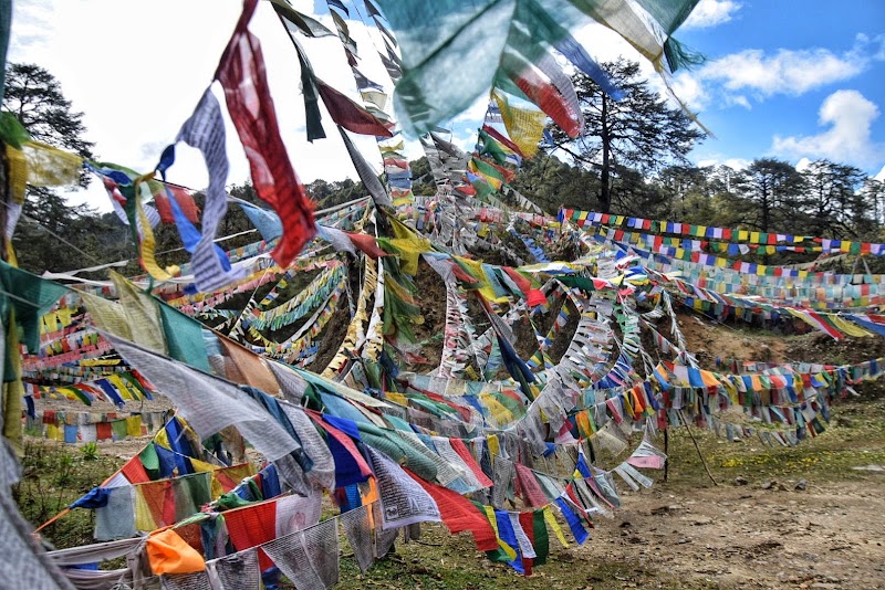 Thimphu-Punakha Highway - Thimphu-Punakha Highway, Thimphu-Punakha Hwy, Dochula, Bhutan
