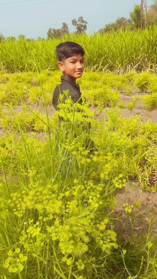 Tukaithad - Tukaithad, Madhya Pradesh 450332, India