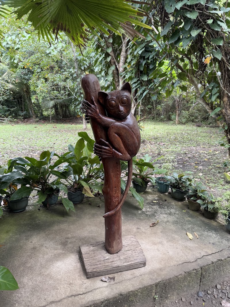 Philippine Tarsier Sanctuary - Philippine Tarsier Sanctuary, Tarsier Sunctuary Rd, Corella, Bohol, Philippines