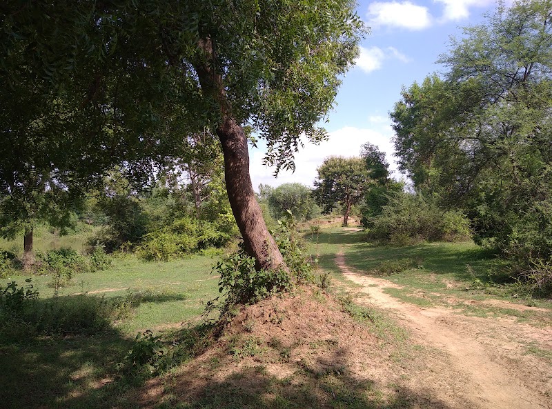 Picnic spot - Picnic spot Thakurain Tola, Chhattisgarh 491111, India