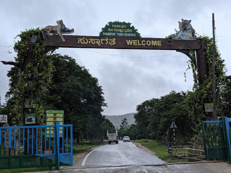 Bandipur National Park - Bandipur National Park Karnataka, India
