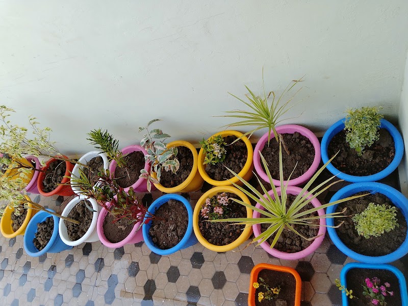 P.N.Nursery and Bio Agro. Product - P.N.Nursery and Bio Agro. Product, Ward no.2, near Ganpati Nagar, Railway Colony, Balod, Chhattisgarh 491226, India